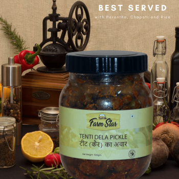 Tentil Pickle-Best Served